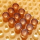 thumbnail image 5 of Juego De Herramientas Para Cría De Abejas Reina, Caja De Cría, Vasos Para Celdas De Apicultura Con Cubiertas Para Apicultores Guardurnaity TO002591-00, 5 of 6