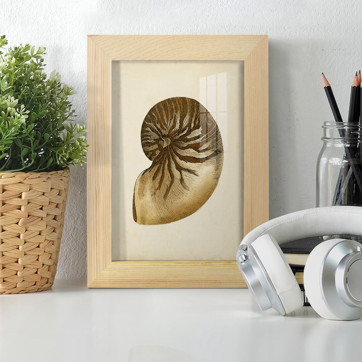 Sealife Collection V - Framed Print w/glass - Natural Wood