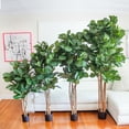 thumbnail image 5 of Nearly Natural Fiddle Leaf Fig Artificial Tree-Size:48", 5 of 7