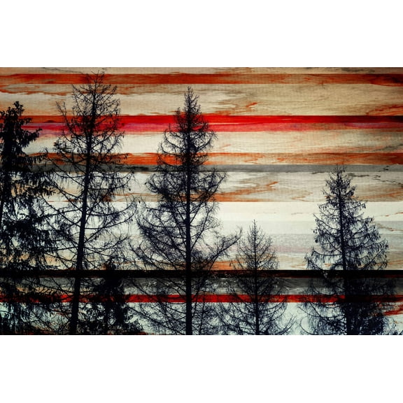 Parvez Taj Pt-Cnpw-140-C-36 24" X 36" "Trees Against Red Striped Sky" Art Print On