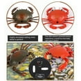 thumbnail image 4 of Juguete de cangrejo eléctrico con control remoto, juguete RC con forma de cangrejo simulado con luz, 4 of 7