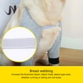 thumbnail image 3 of Adjustable Dog Front Leg Brace Soft Padded Elastic Elbow Brace Breathable Dog Sleeve for Joint Protections and Recovery, 3 of 8