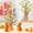 🔥 Orange_New, variant on Sentmoon Simulation Short Stuffed Moss Easter Bunny Living Room Desktop Small Ornaments Cute Decorations Adorable Springtime For Home Parties Or Gift Giving