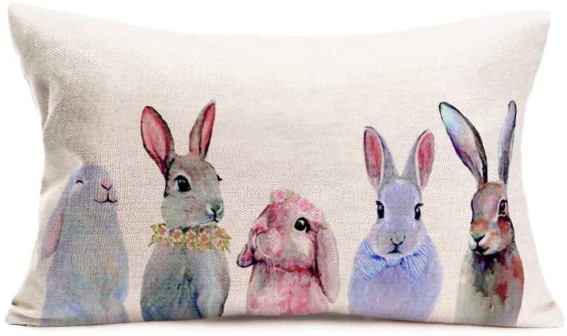 Farm Rabbit Easter Bunny Feed Throw Pillow Cover Sofa Couch Car Bed Cushion Case 