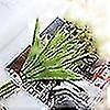 thumbnail image 3 of Artificial , Bouquet 20pcs Touch For Home Fl R(no Vase), 3 of 5