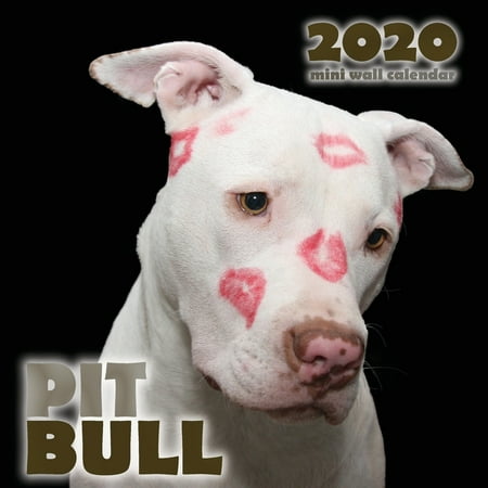 Pit Bull 2020 Mini Wall Calendar (Paperback) - Walmart.com - Walmart.com Pit Bull 2020 Mini Wall Calendar (Paperback) - Walmart.com - Walmart.com