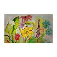 thumbnail image 1 of Betsy Drake DM060G Garden Door Mat - 30 x 50 in., 1 of 1