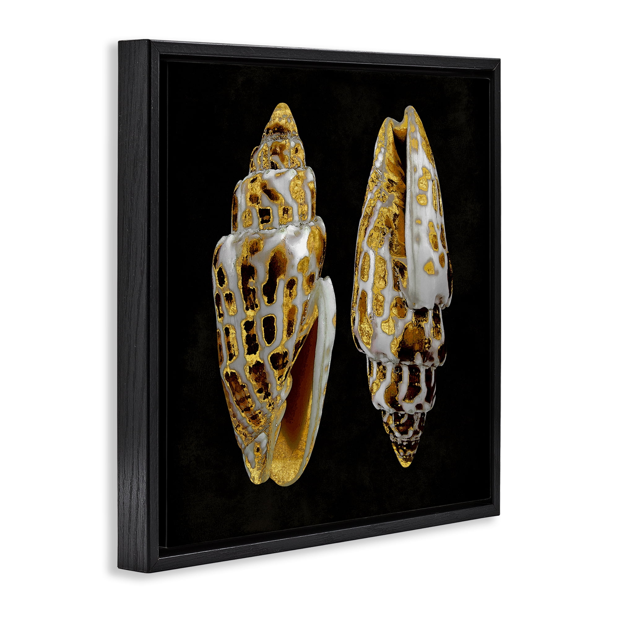 Stupell Industries Spotted Cowrie Shells Nautical & Beach Painting Black Floater Framed Canvas Art Print Wall Art, 25 x 25