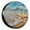 Beach Ocean Starfish 01, variant on KAKALAD Cute Puppy Australian Shepherd 02 Spare Tire Cover Universal Vehicle Accessories Buckle Car Tools 14”in