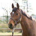 thumbnail image 1 of Horze Nice Halter, 1 of 2