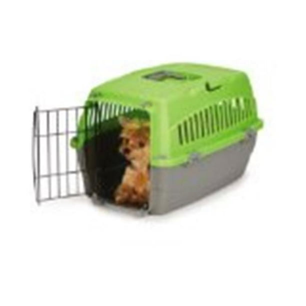 Cruising Companion Carry Me Dog Crate with Handle Small, Green