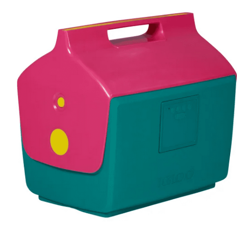 Shops igloo speaker cooler