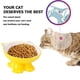 thumbnail image 4 of Cuencos para gatos, cuencos elevados para comida para gatos, antivómitos, cuenco de cerámica para comida para mascotas para gatos de cara plana, perros pequeños, protege la columna vertebral de las, 4 of 6