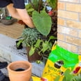 thumbnail image 2 of Miracle-Gro Potting Soil Mix - 8.8L, 2 of 4