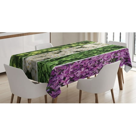 

Apartment Decor Tablecloth Collage Mix of Diverse Herbs and Bouquet Flowers Romantic Wedding Concept Rectangular Table Cover for Dining Room Kitchen 52 X 70 Inches Green Violet by Ambesonne