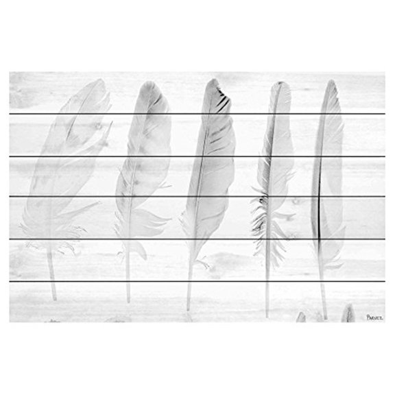 Five White Feathers by Parvez Taj Painting Print on White Wood