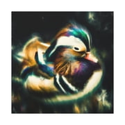 Mandarin Duck Expressionism - Canvas