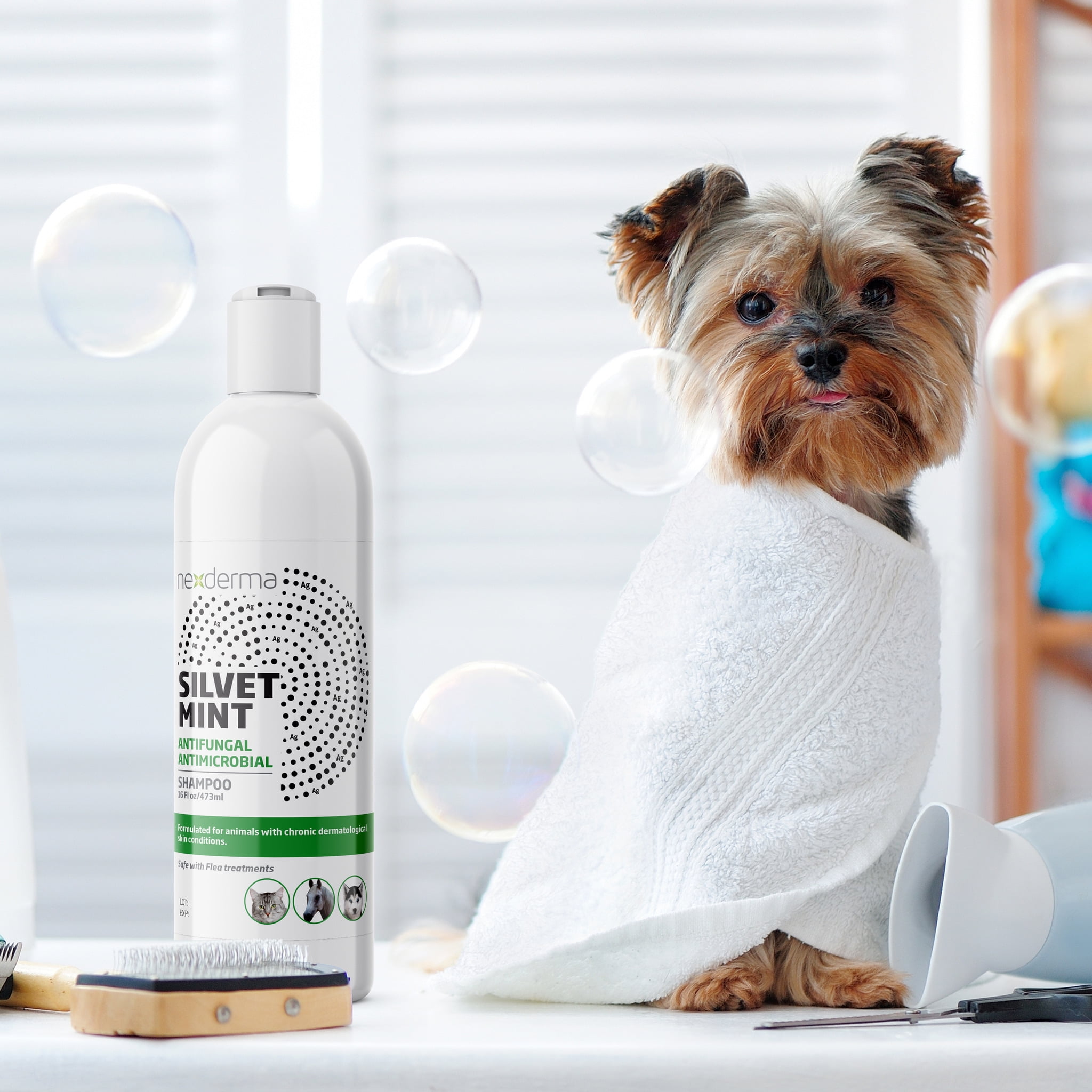 Antifungal dog 2024 shampoo walmart