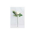 thumbnail image 1 of Lerman Decor's White Rose, 1 of 2
