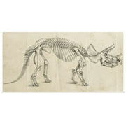 Great BIG Canvas | Rolled Ethan Harper Poster Print entitled Dinosaur Study II