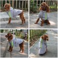 thumbnail image 5 of (1 unidad, M) Impermeable con capucha para perros, chaqueta impermeable ligera para perros, poncho impermeable con cremallera y tira reflectante para perros pequeños, medianos y grandes., 5 of 5