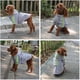 thumbnail image 5 of (1 unidad, M) Impermeable con capucha para perros, chaqueta impermeable ligera para perros, poncho impermeable con cremallera y tira reflectante para perros pequeños, medianos y grandes., 5 of 5