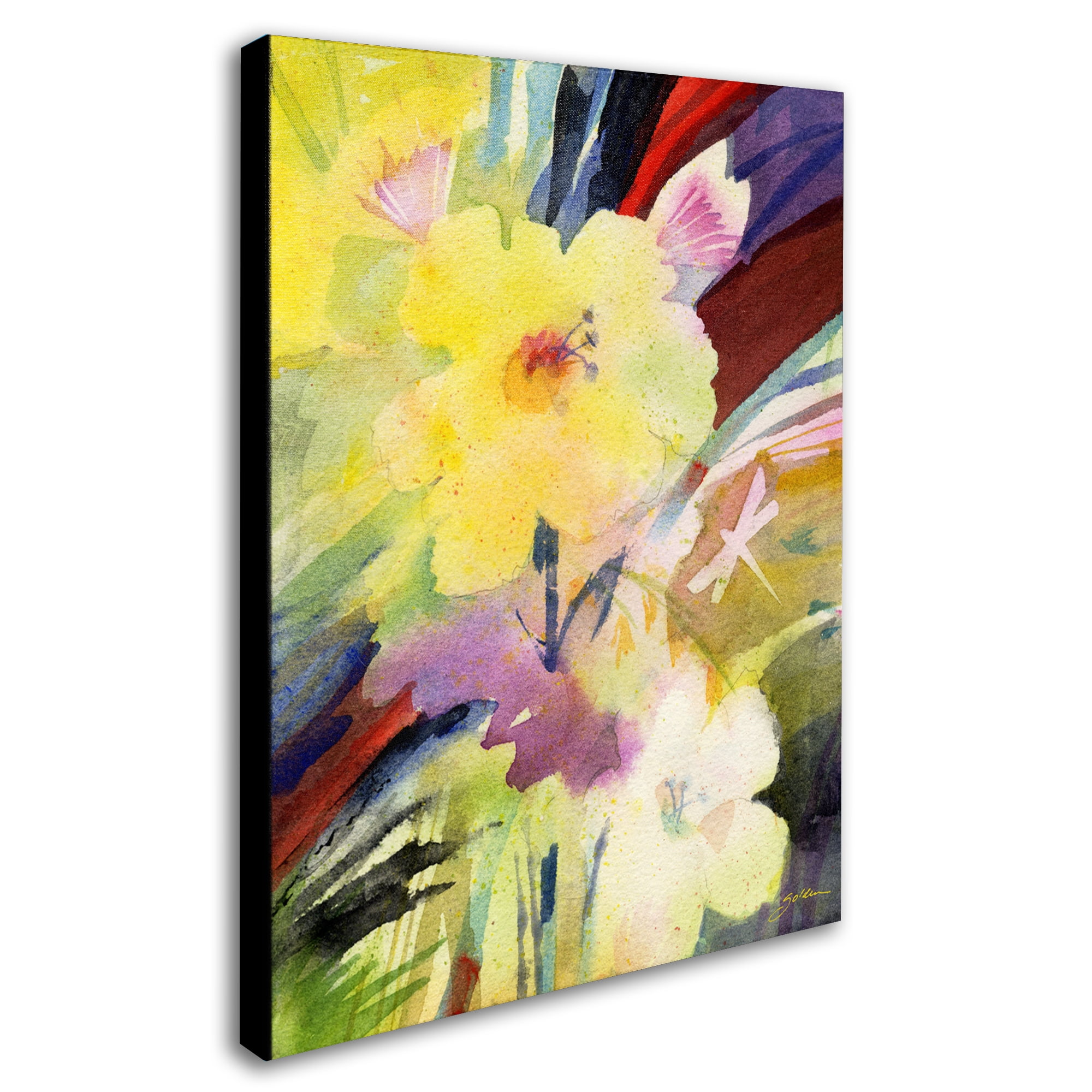 Trademark Fine Art Sheila Golden 'Dragonfly Garden Dream' Canvas Art 18x24 Inches (SG051-C1824GG)