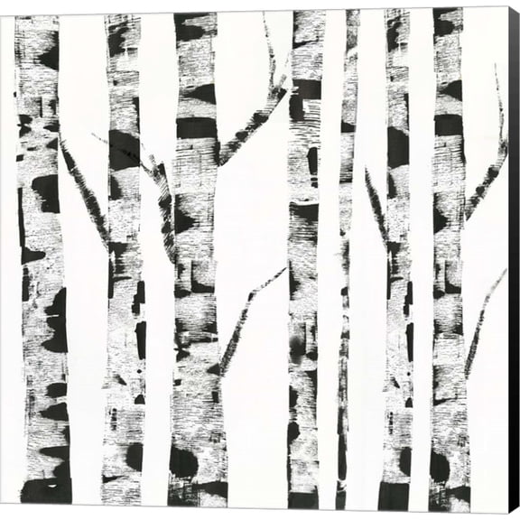 White Birch by Posters International Studio, Canvas Wall Art