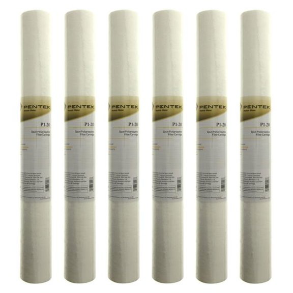 Pentek Whole House Filter Replacement Cartridge - 20 in.