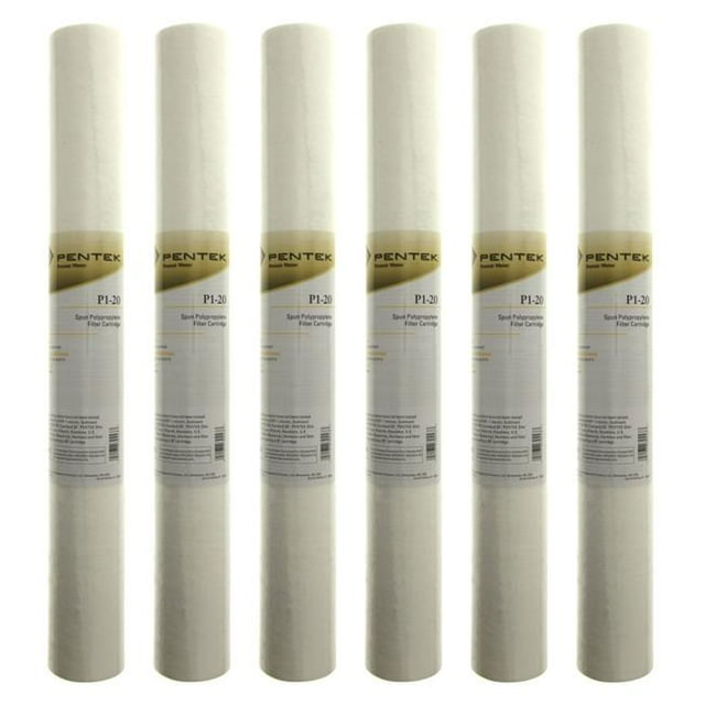 Pentek Whole House Filter Replacement Cartridge - 20 in.