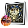 thumbnail image 2 of Wdftyju 5D Diamond Painting Kit DIY Star Owl Taladro redondo completo Mosaico Imagen Decoración de la pared Wdftyju 6ev7ft1cg6zp8ba0, 2 of 9