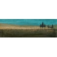 thumbnail image 2 of Kikani, Umang 32x13 Black Ornate Wood Framed with Double Matting Museum Art Print Titled - Fir Trees II, 2 of 4