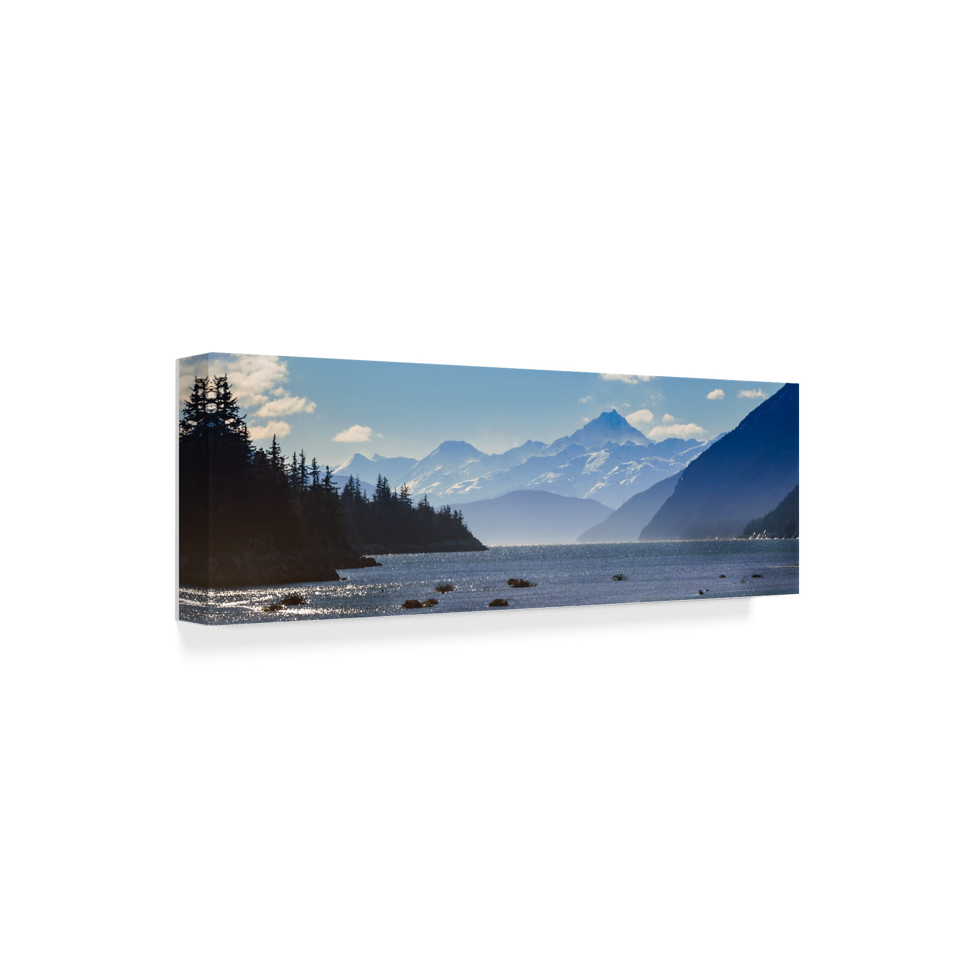 Trademark Fine Art 'Taiya Inlet' Canvas Art by Brenda Petrella Photography Llc