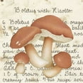 thumbnail image 2 of Pallan, Nancy S. 15x15 White Modern Wood Framed Museum Art Print Titled - Boletus, 2 of 4