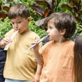 thumbnail image 2 of Welch’s Organic Juice Ice Bars, 2 of 7