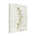 thumbnail image 2 of June Erica Vess 'Antique Earthtone Herbs III' Canvas Art, 2 of 3