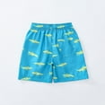 thumbnail image 3 of XADYUY Boys Swim Trunks Size 7 Quick Dry Beach Shorts Kids Cute Alligator Graphic Bathing Suit Toddler Boy Summer Casual Athletic Teen Boys Swim Trunks,4-5 Years Light Green, 3 of 6