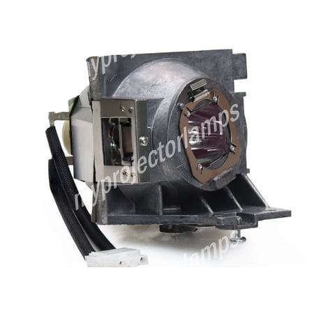 Benq 5J.JGT05.001 Projector Lamp with Module