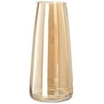 thumbnail image 1 of Vase en Verre Haut Moderne : Vase à Fleurs Élégant Contenant Floral Centre de Table, 1 of 10