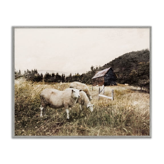 Stupell Industries Autumn Field Farm Sheep Grazing Wilderness Barn, 11 x 14, Designed by Bluebird Barn