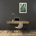 thumbnail image 3 of 1x Studio III 13x18 White Modern Wood Framed Museum Art Print Titled - Cacti, 3 of 4
