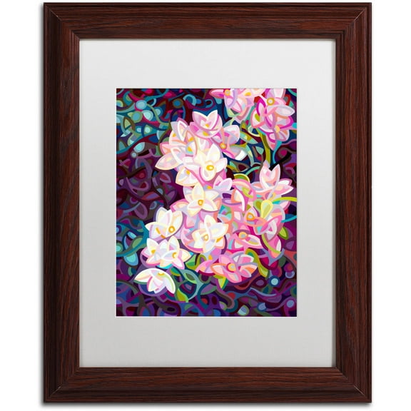 Trademark Fine Art "Cascade" Canvas Art by Mandy Budan, White Matte, Wood Frame