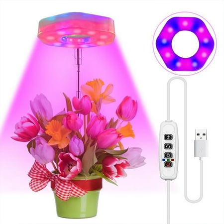 

Yedhsi USB Led Plant Light Growth Light Indoor Light Flower Potted Lamp Succulent Table Lamp Plant Grow Lamp