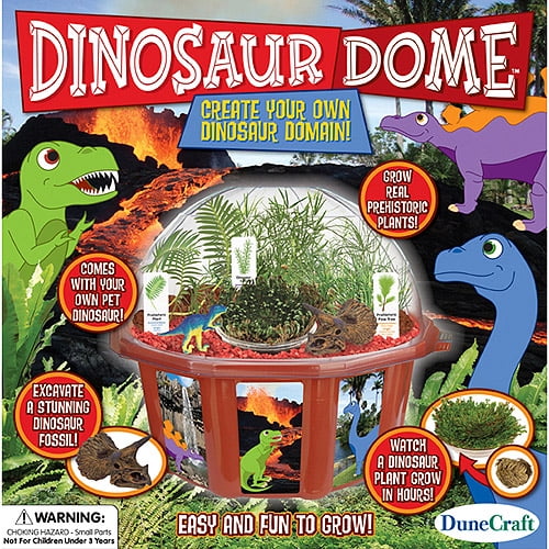 DuneCraft Dinosaur Dome Science Kit - Walmart.com - Walmart.com