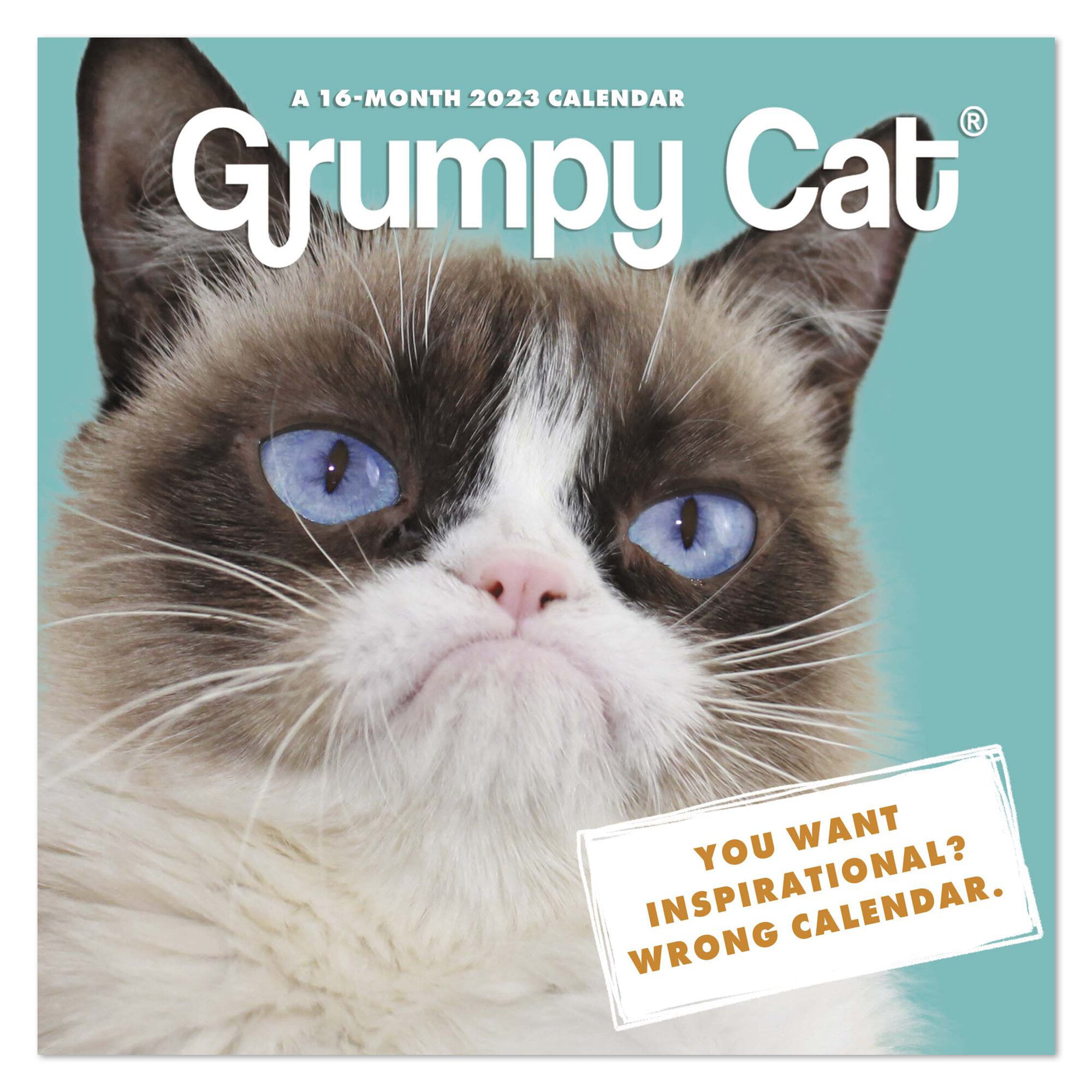 2025 Grumpy Cat Desk Calendar