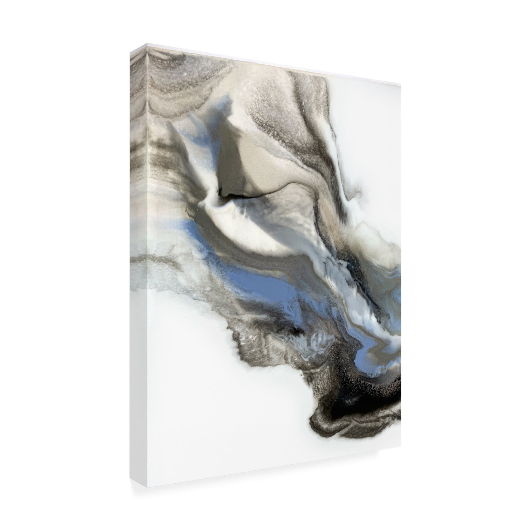 Trademark Fine Art Alyson Storms  Grey Smoke 2 Canvas Wall Art