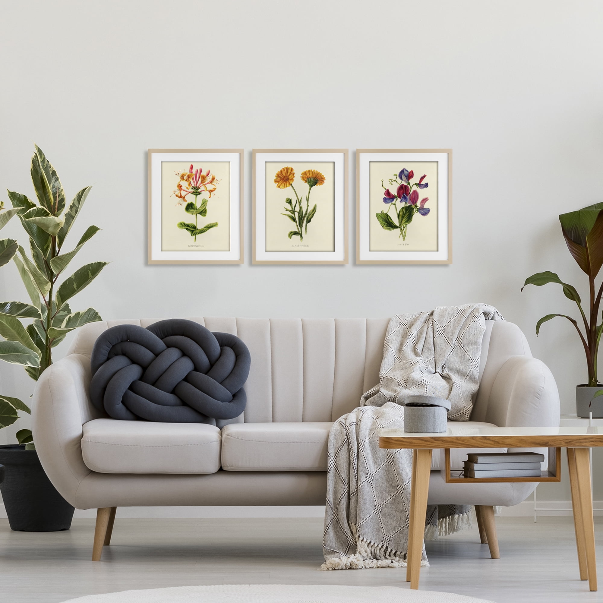 Stupell Industries Flowering Plants Vintage Illustration 3 Piece Birch Framed Print Under Glass Set, design by Connie Resch