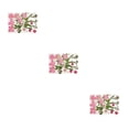thumbnail image 4 of Inteprter Calcomanía de flores secas, calcomanía de maquillaje para niñas hermosas naturales, accesorios DIY, rellenos artesanales, Type1 NO1, 4 of 6