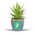 thumbnail image 1 of Vegetable Expression Embarrassment Chili Body Fake Pineapple Flower Pot Vase Mini Decor, 1 of 3