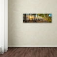 thumbnail image 3 of Trademark Fine Art 'Palm Cove' Canvas Art by Doug Cavanah, 3 of 3